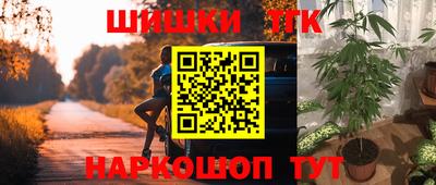 гашик Гусев